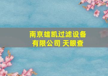 南京雄凯过滤设备有限公司 天眼查